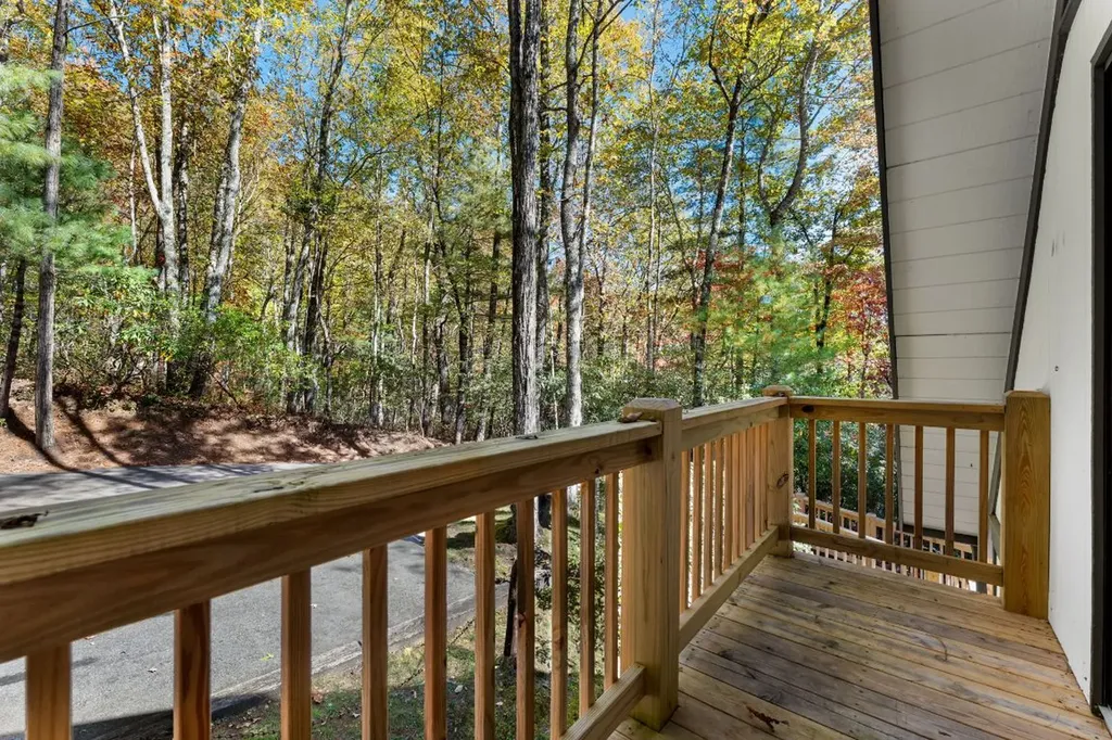 1917 West Christy Trail Sapphire NC 28774