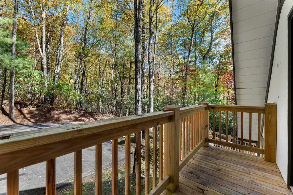 1917 West Christy Trail Sapphire NC 28774