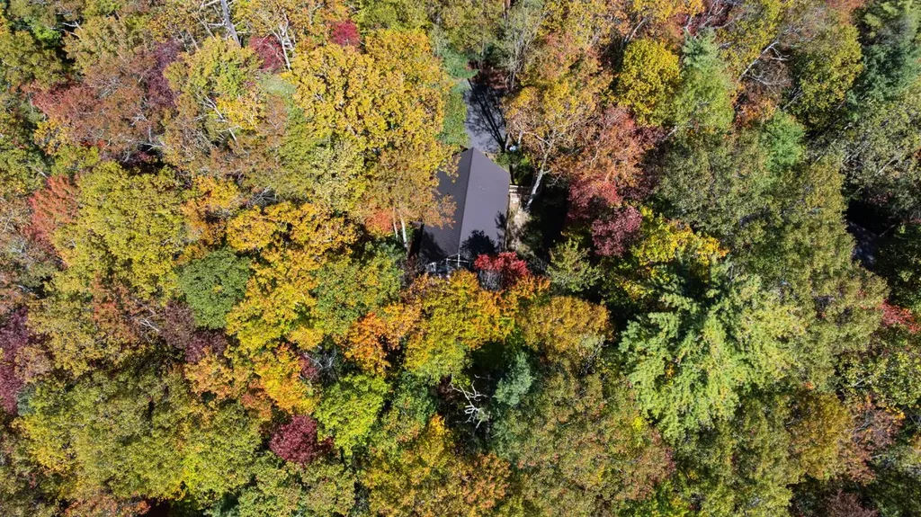 1917 West Christy Trail Sapphire NC 28774