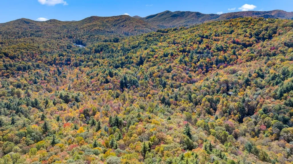 1917 West Christy Trail Sapphire NC 28774