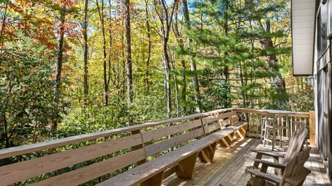 1917 West Christy Trail Sapphire NC 28774