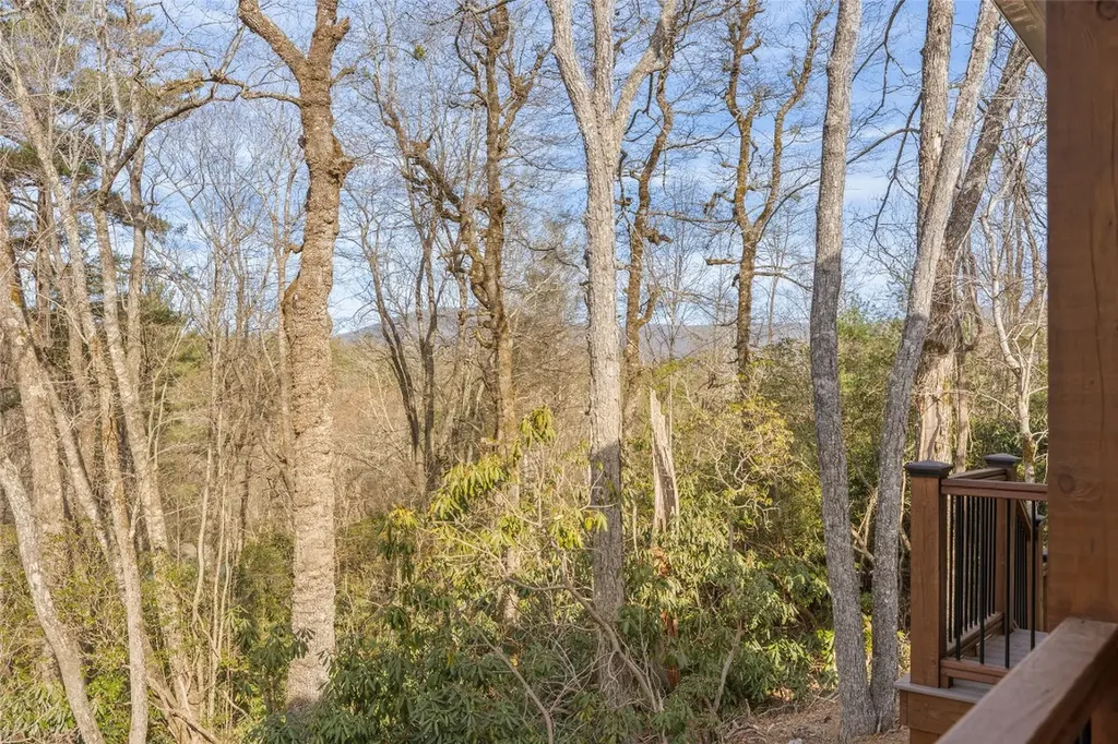 14 Pine Forest Court Sapphire NC 28774