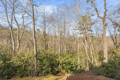 14 Pine Forest Court Sapphire NC 28774