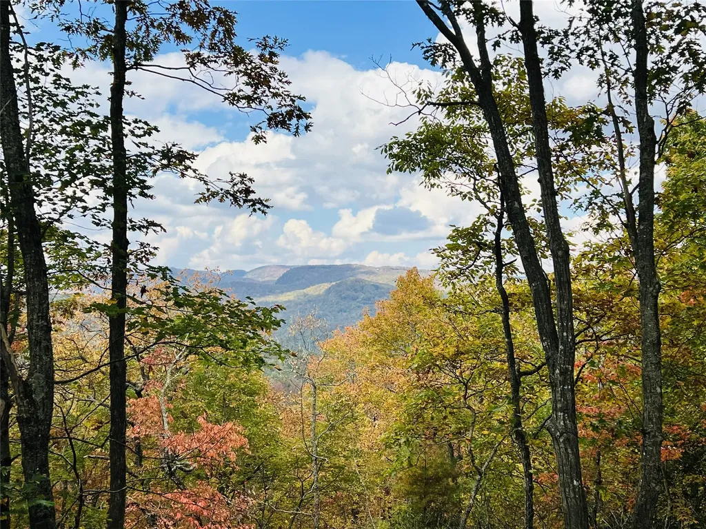 401 Windy Gap Lane Sapphire NC 28774