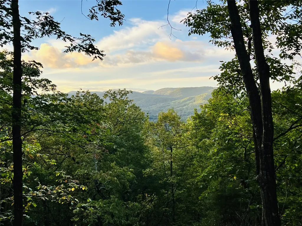 401 Windy Gap Lane Sapphire NC 28774