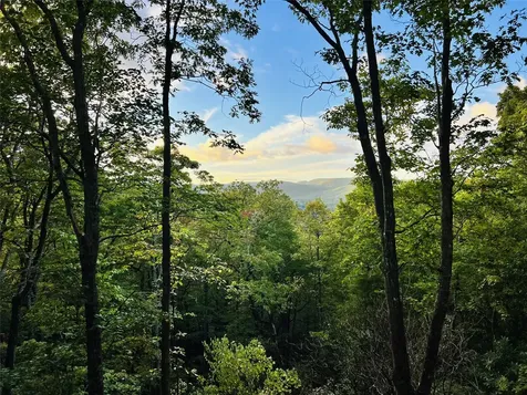 401 Windy Gap Lane Sapphire NC 28774