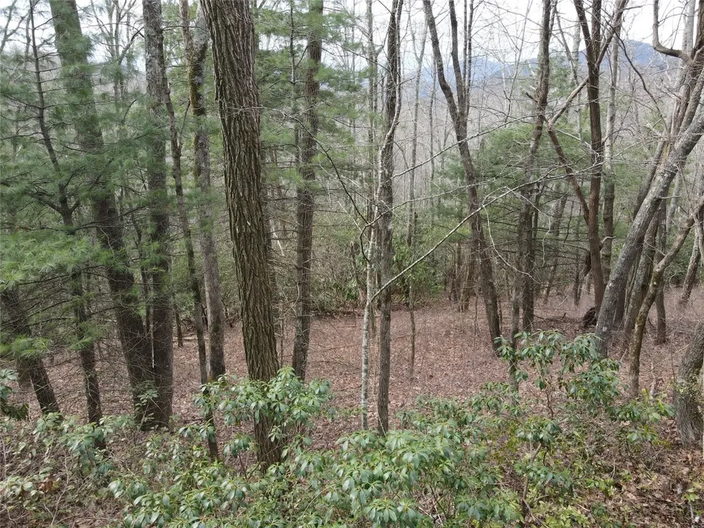 Lot 19 Glenridge Cashiers NC 28717