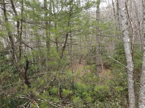 Lot 19 Glenridge Cashiers NC 28717