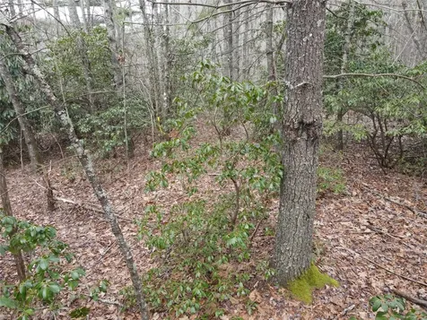 Lot 19 Glenridge Cashiers NC 28717