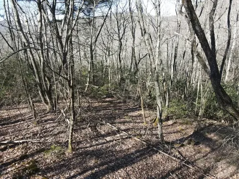 Lot 19 Glenridge Cashiers NC 28717