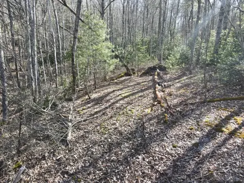 Lot 19 Glenridge Cashiers NC 28717