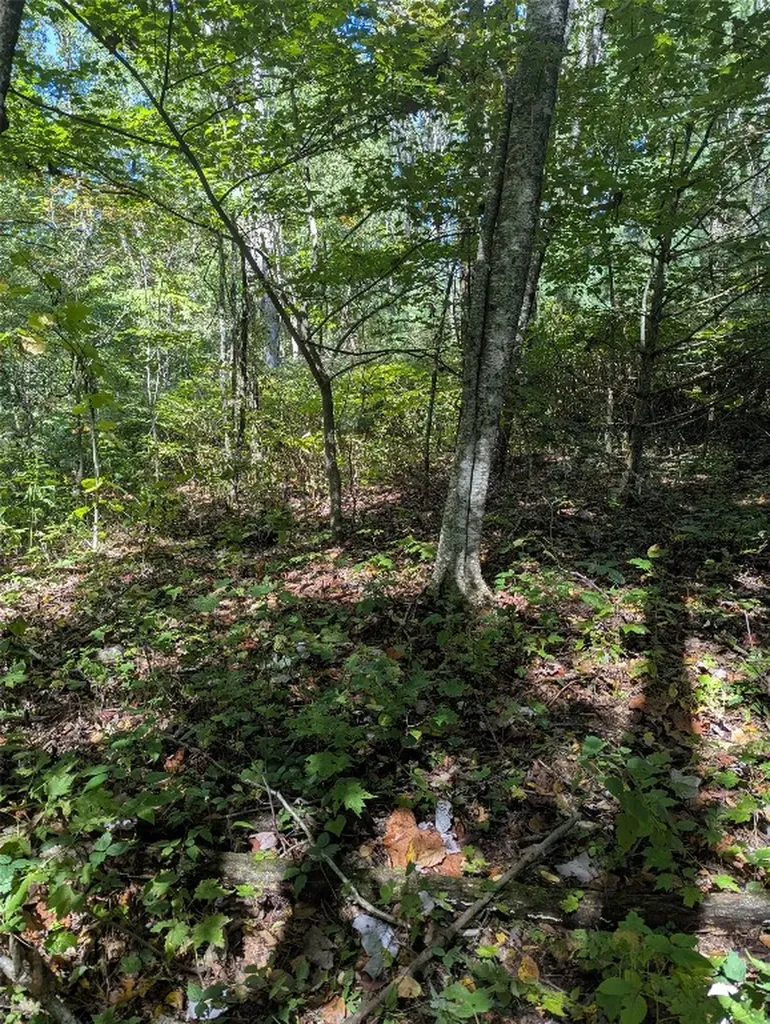 0 Double Springs Lane Cullowhee NC 28723