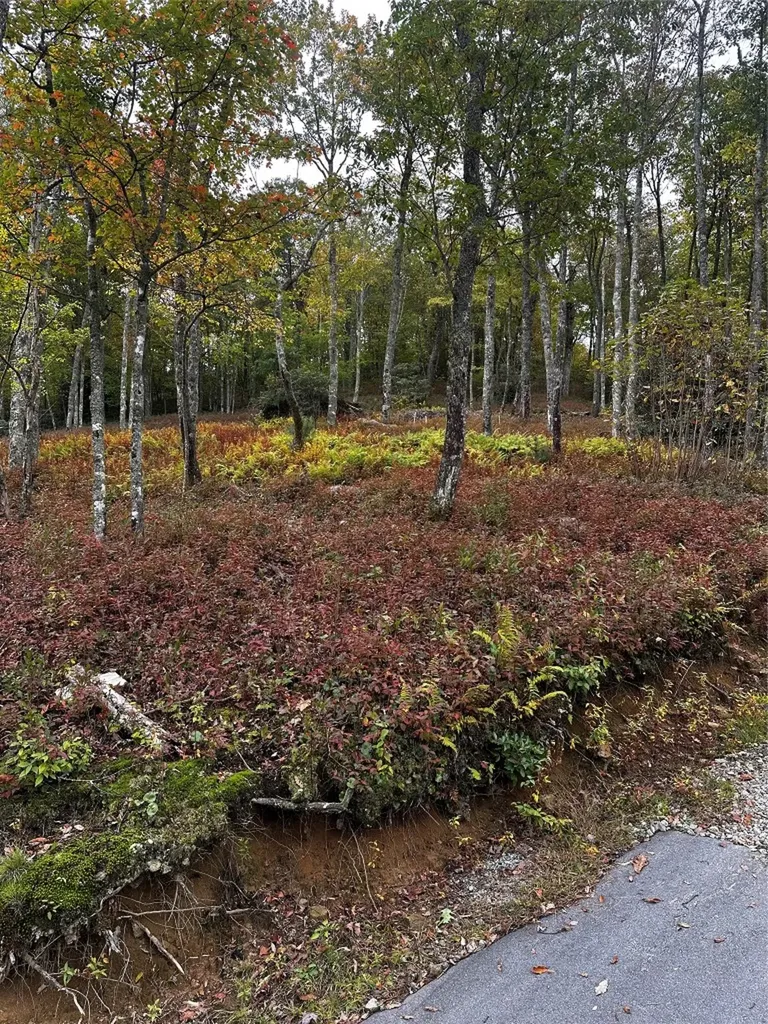 38 Hidden Grouse Lane Sapphire NC 28774