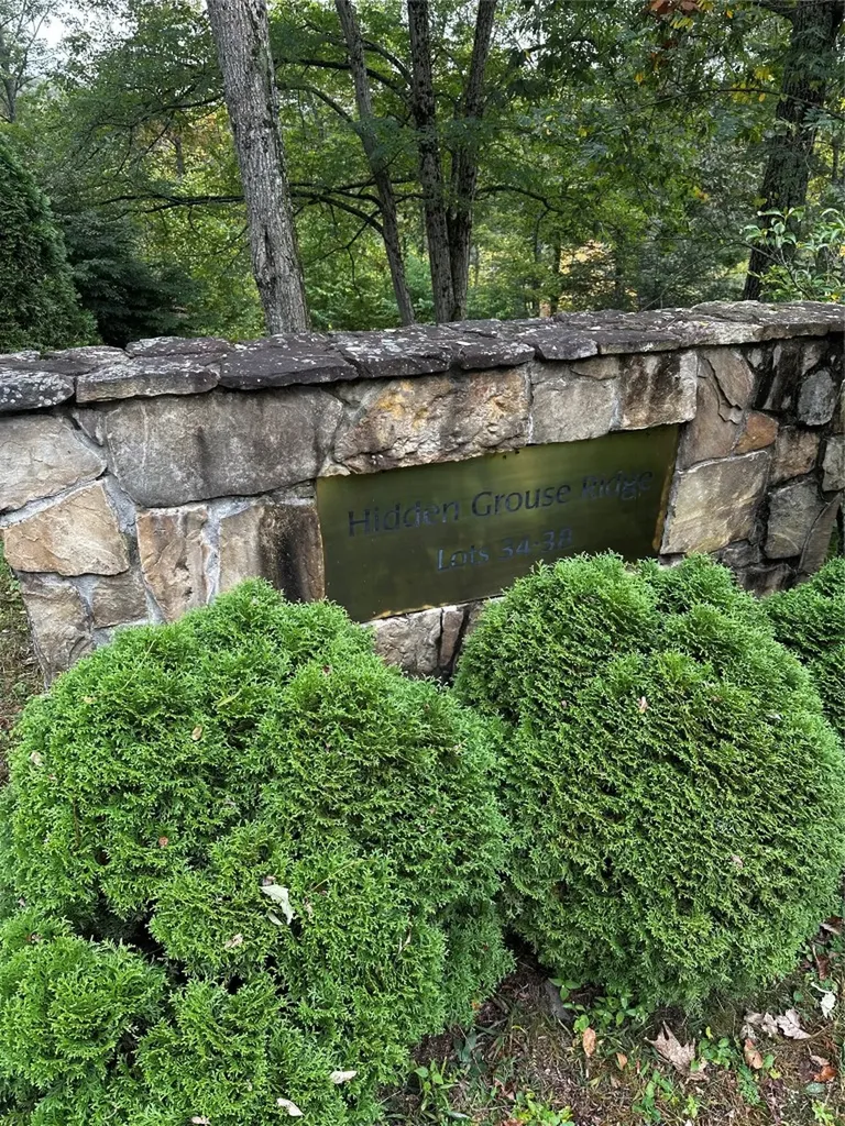 38 Hidden Grouse Lane Sapphire NC 28774