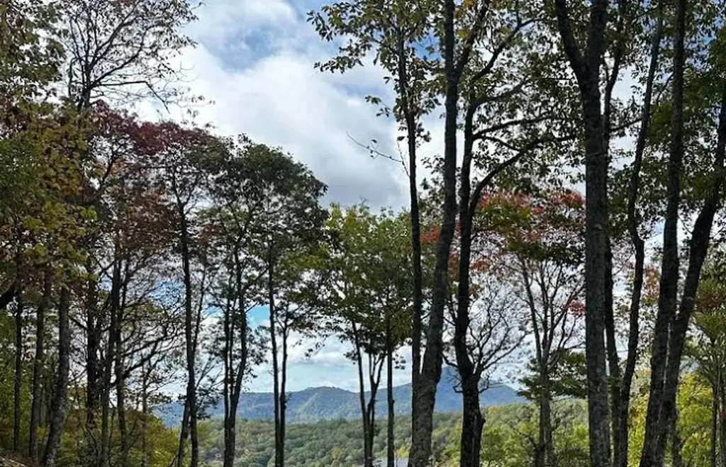 38 Hidden Grouse Lane Sapphire NC 28774