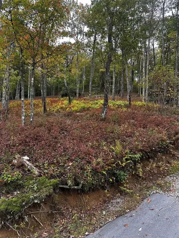 38 Hidden Grouse Lane Sapphire NC 28774
