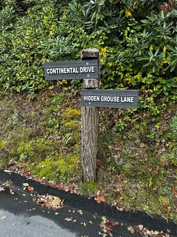 38 Hidden Grouse Lane Sapphire NC 28774