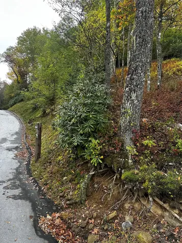 38 Hidden Grouse Lane Sapphire NC 28774