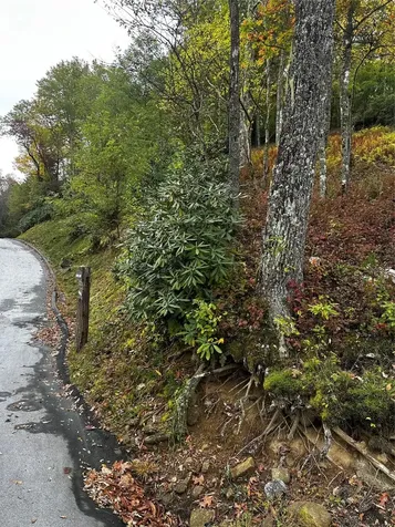 38 Hidden Grouse Lane Sapphire NC 28774