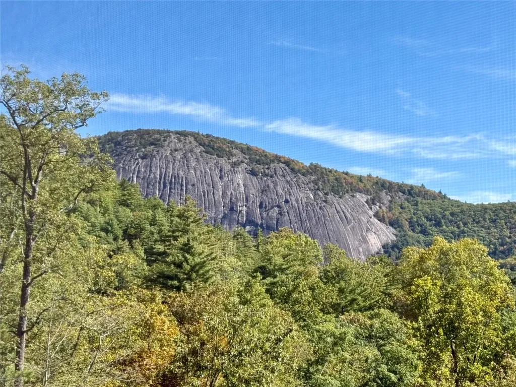 323 W. Falls Drive Sapphire NC 28774