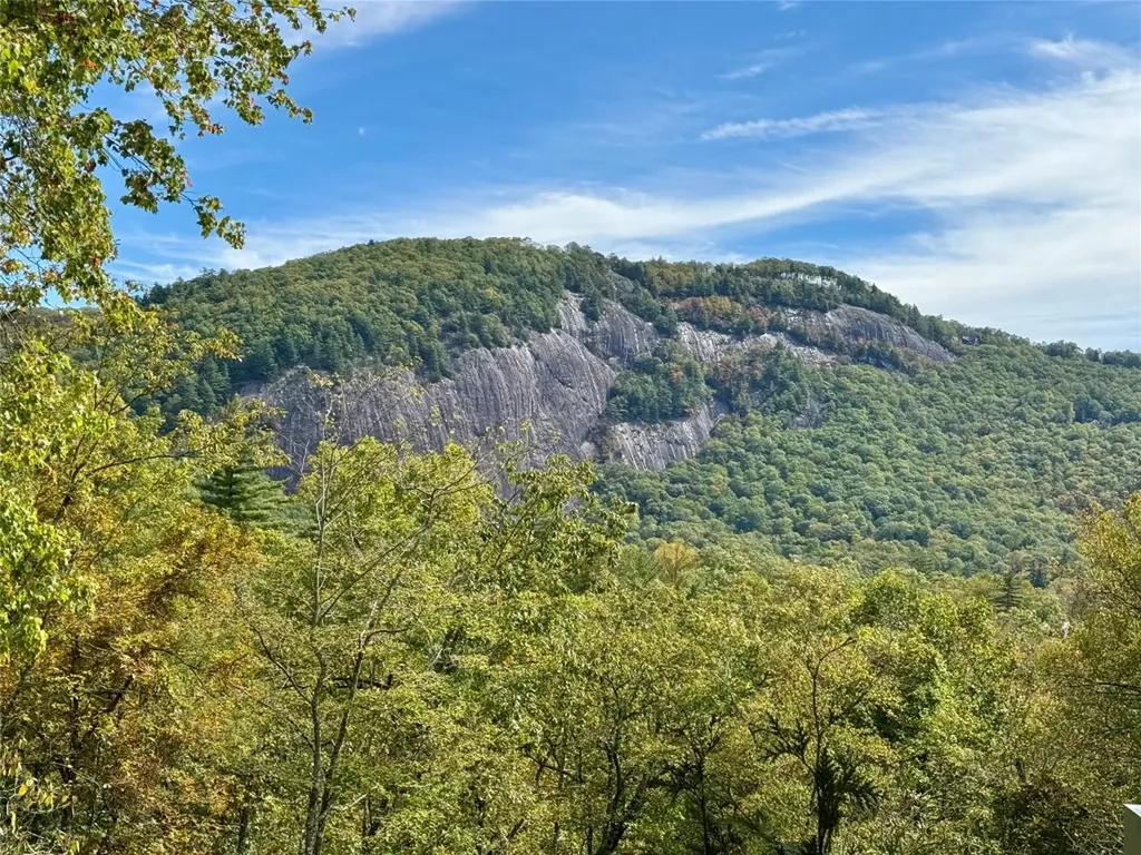 323 W. Falls Drive Sapphire NC 28774