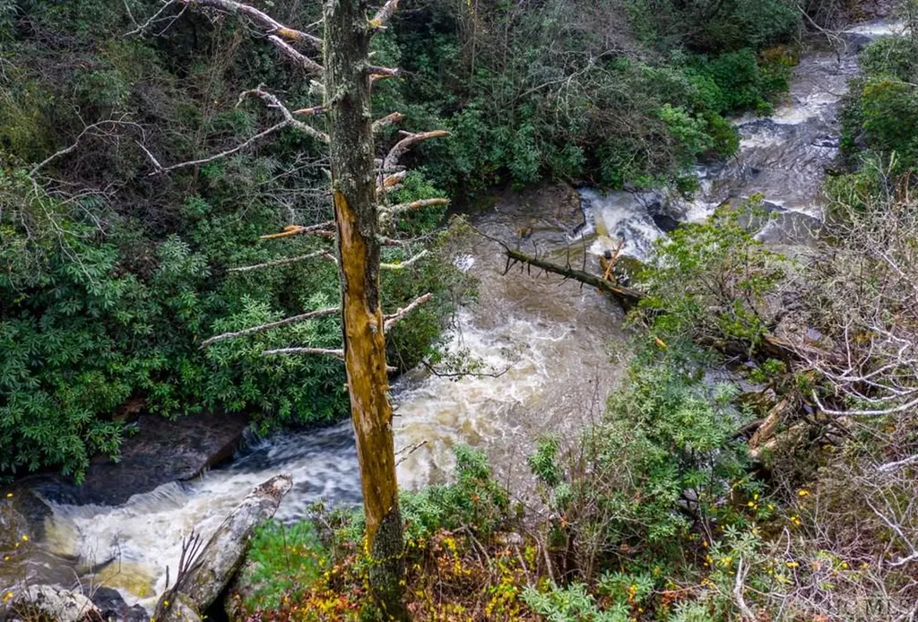 Lot 6 Hayes Trail Drive Cashiers NC 28717