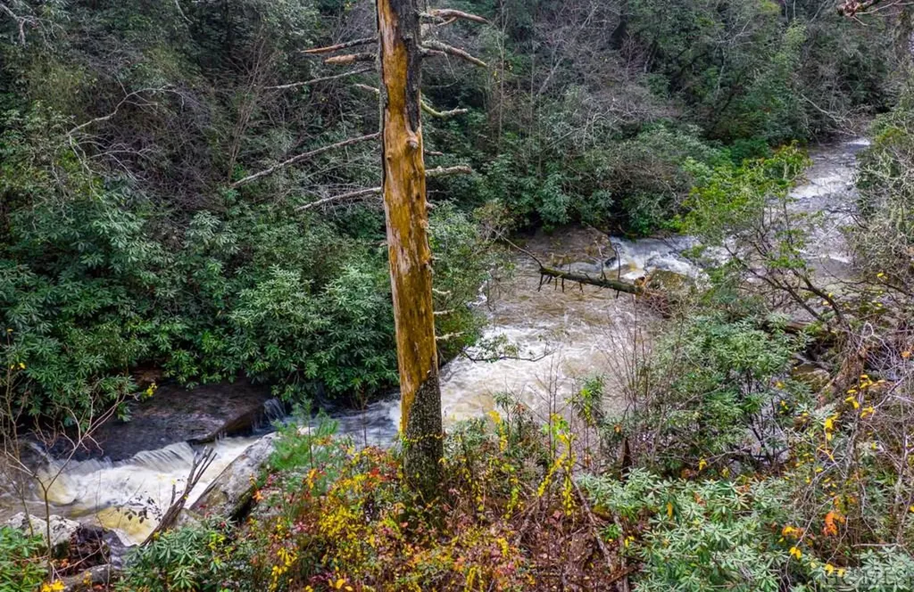 Lot 6 Hayes Trail Drive Cashiers NC 28717