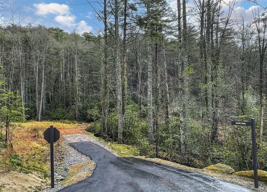 Lot 6 Hayes Trail Drive Cashiers NC 28717