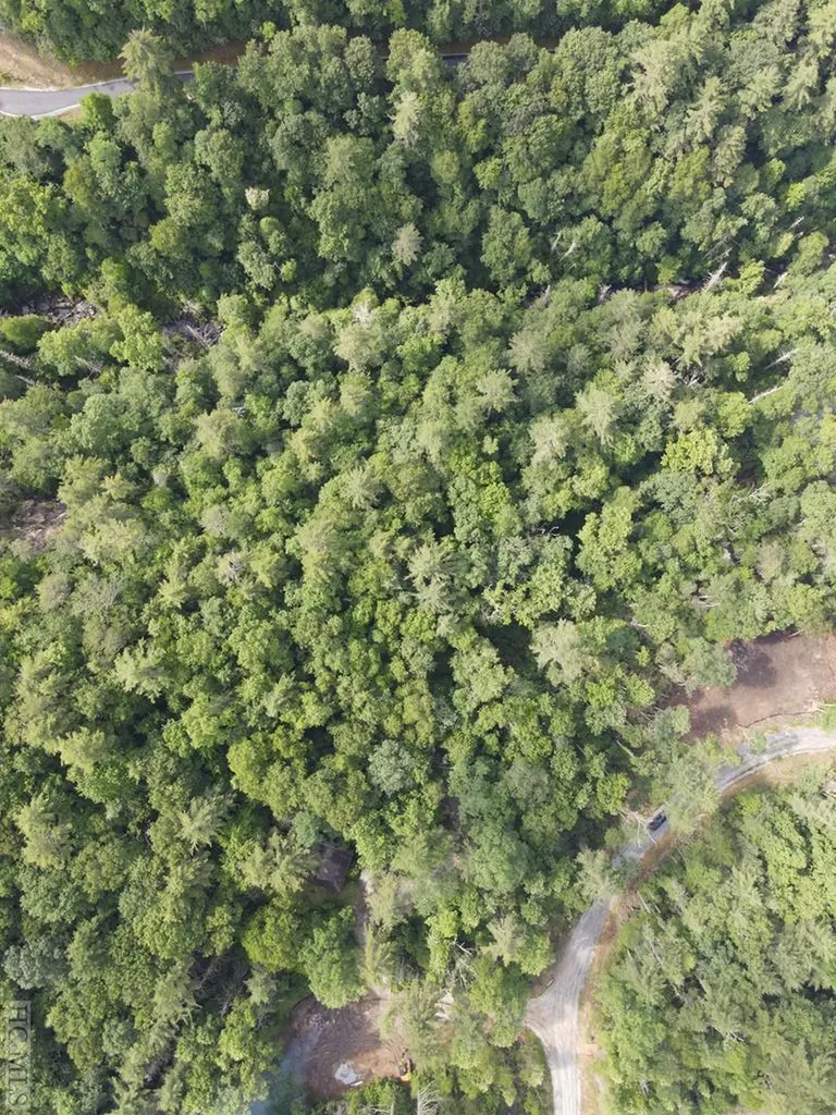 Lot 6 Hayes Trail Drive Cashiers NC 28717