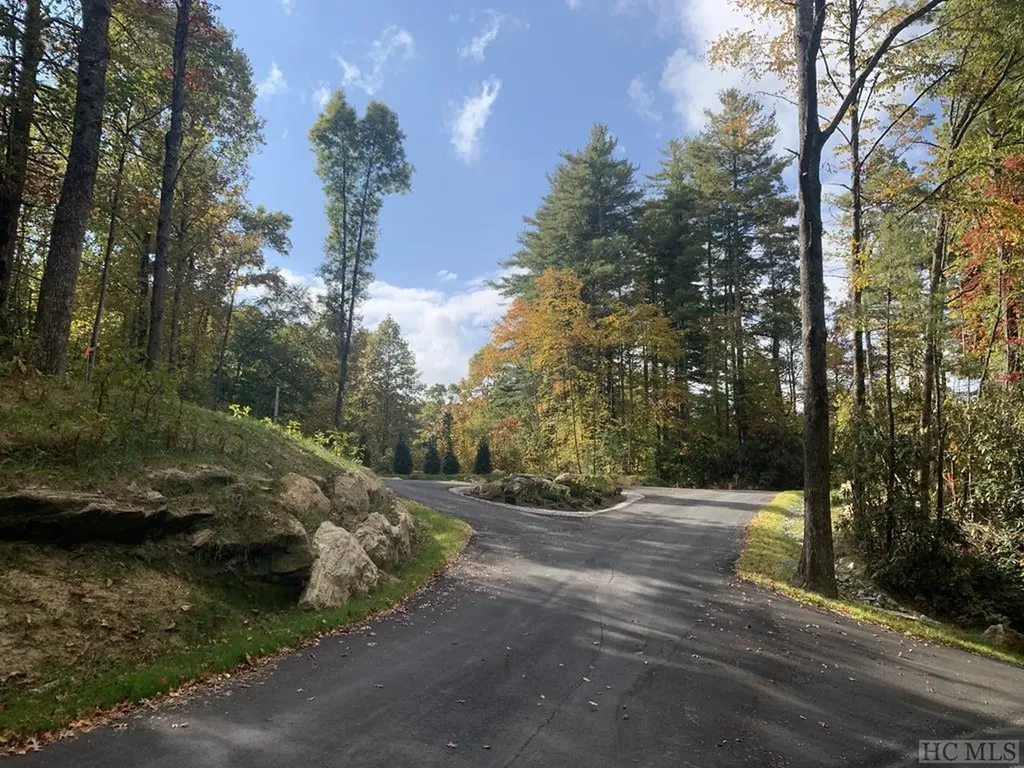 Lot 6 Hayes Trail Drive Cashiers NC 28717