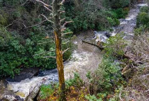 Lot 6 Hayes Trail Drive Cashiers NC 28717