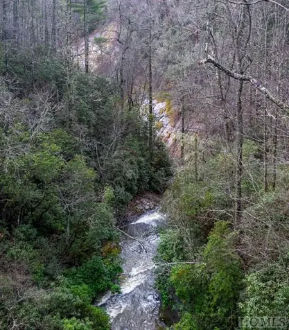 Lot 6 Hayes Trail Drive Cashiers NC 28717