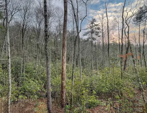 Lot 6 Hayes Trail Drive Cashiers NC 28717