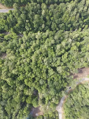 Lot 6 Hayes Trail Drive Cashiers NC 28717