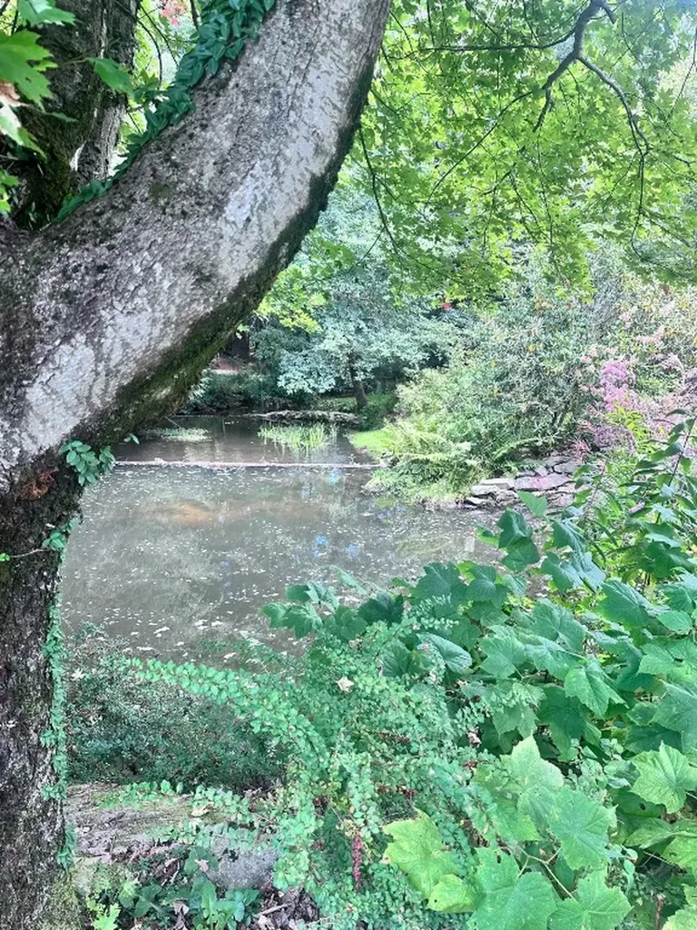 1292 Leonard Road Highlands NC 28741