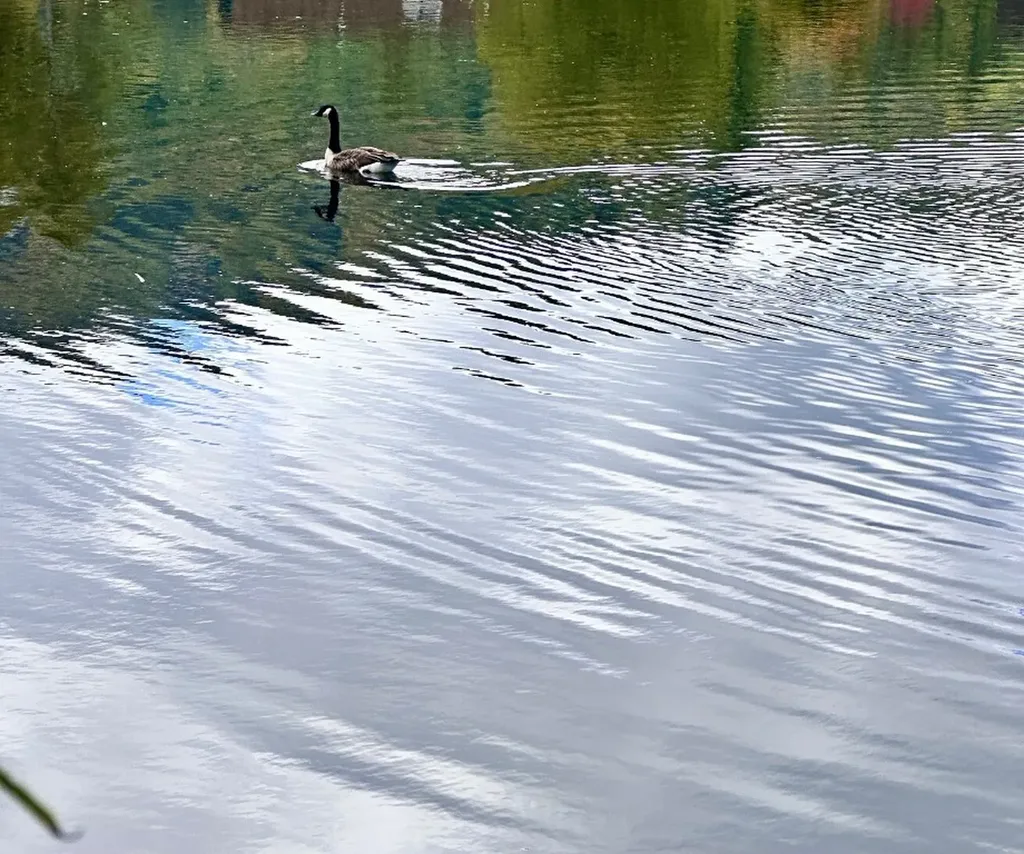 1292 Leonard Road Highlands NC 28741