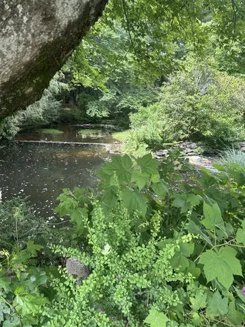 1292 Leonard Road Highlands NC 28741