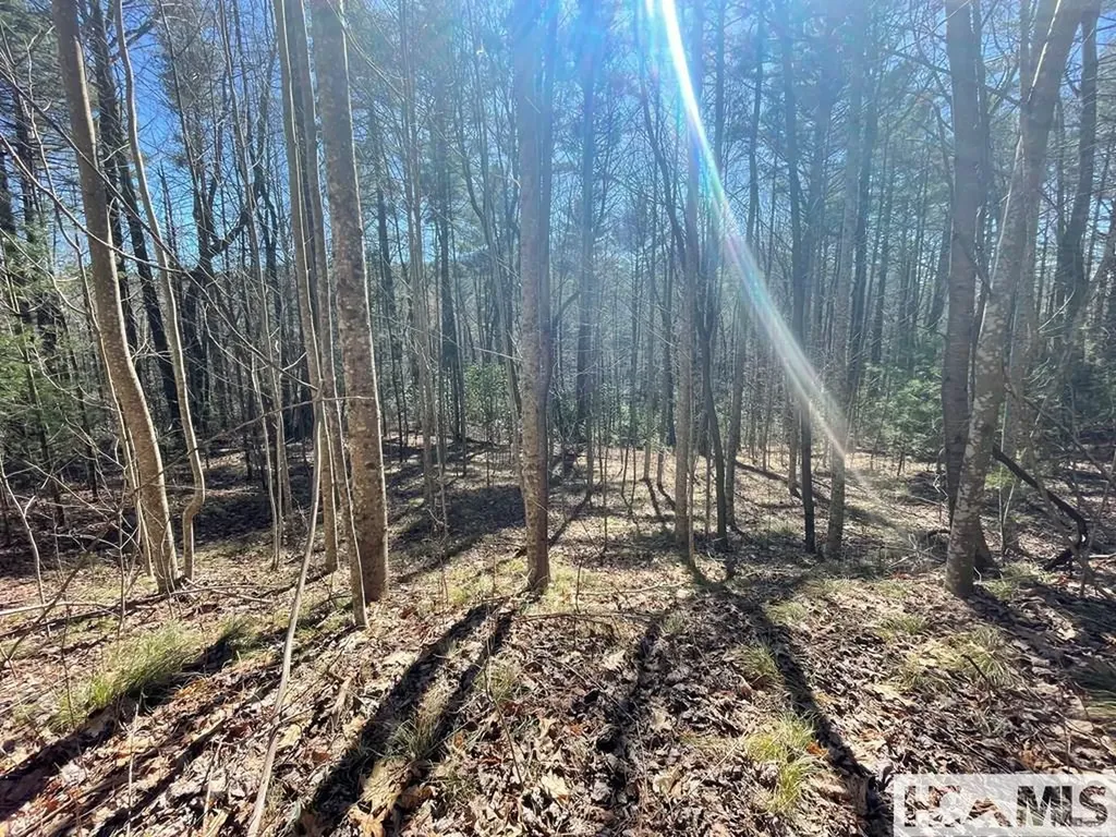 Lot 1 Bear Log Road Cashiers NC 28717