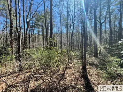 Lot 1 Bear Log Road Cashiers NC 28717