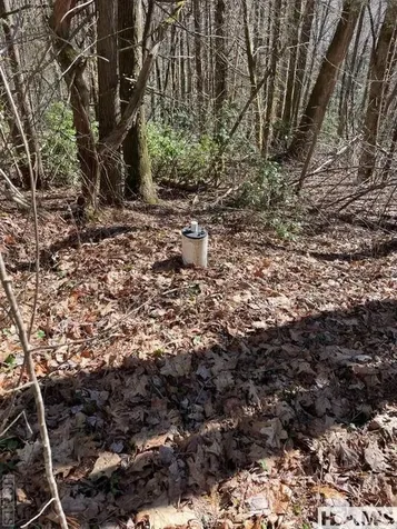 Lot 1 Bear Log Road Cashiers NC 28717