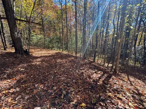 Lot 1 Bear Log Road Cashiers NC 28717