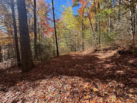 Lot 1 Bear Log Road Cashiers NC 28717