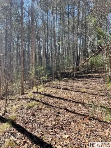 Lot 1 Bear Log Road Cashiers NC 28717