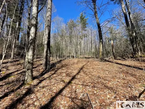 Lot 1 Bear Log Road Cashiers NC 28717