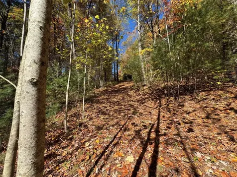 Lot 1 Bear Log Road Cashiers NC 28717