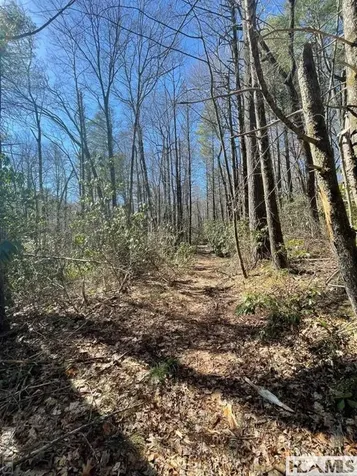 Lot 1 Bear Log Road Cashiers NC 28717