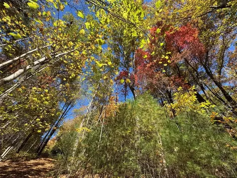 Lot 1 Bear Log Road Cashiers NC 28717