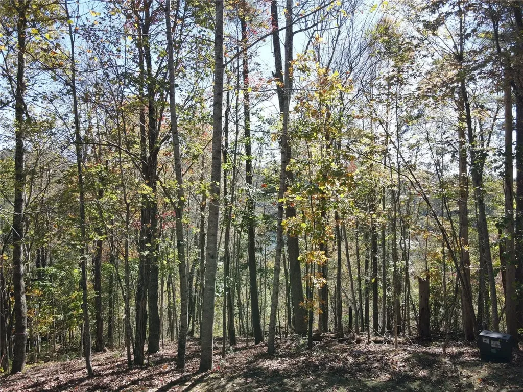 Lot #4 Rendezvous Ridge Road Cashiers NC 27265