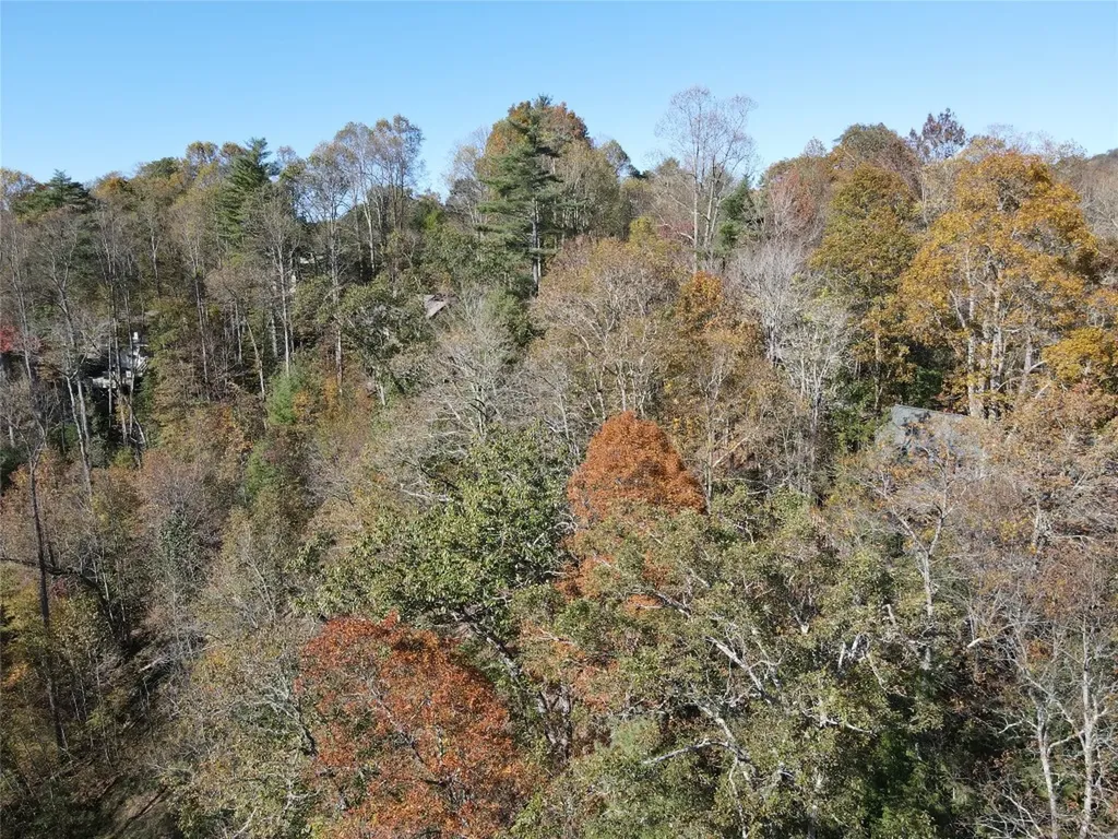 Lot #4 Rendezvous Ridge Road Cashiers NC 27265