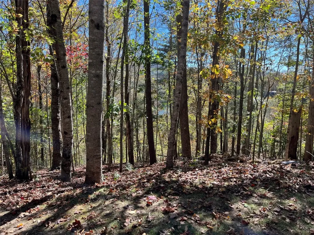 Lot #4 Rendezvous Ridge Road Cashiers NC 27265